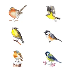 6 Pcs Applique Bird Anti-Collision Sticker Decor Electrostatic Window Film Pvc Hummingbird Wall Stickers