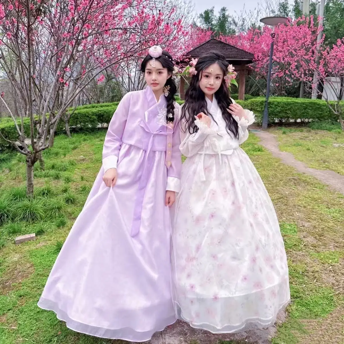 Elegant Court Style Hanbok for Woman Traditional Korean Clothing Yanji Travel Wedding Bride Bridesmaid Dress Cosplay Suit Hanbok