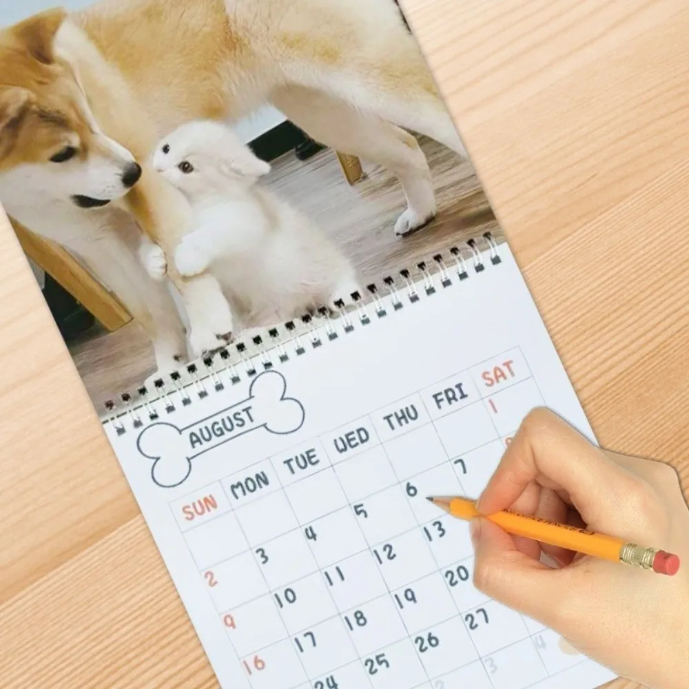 Nuovo calendario per cani in edizione 2026 Illustrazioni per cani Calendario da parete divertente Calendario da tavolo Regali di Capodanno