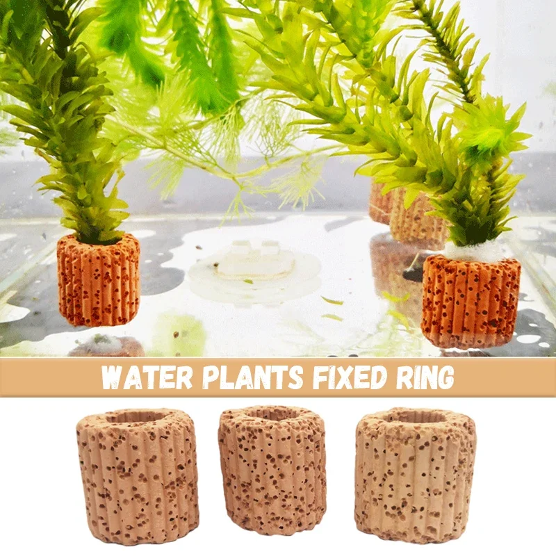 

10/20/50Pcs Aquatic Water Plant Fixed Ring for Aquarium Landscape Ceramic Plant Pot Ring Tool Decorations Fish Tank Accessories