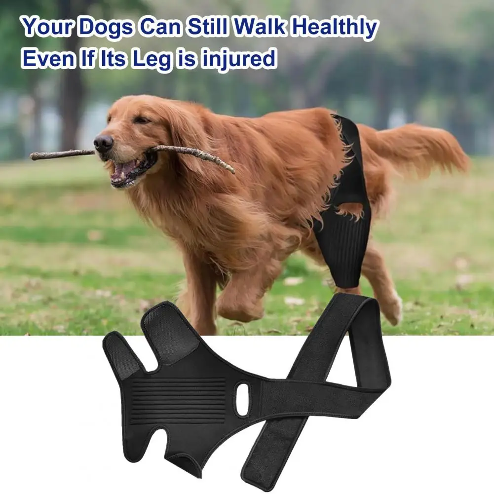 Pet Recovery Belt Dog Leg Brace Protective Dog Knee Hip Brace Supportive Dog Leg Wrap Pet Leg Injury Rehabilitation Pet Supplies