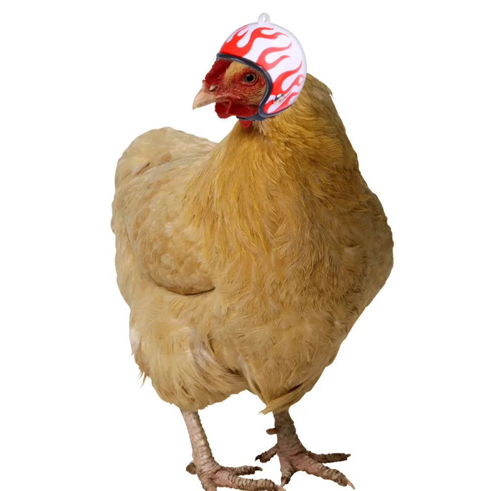 

5Pcs Portable Chicken Safe Protective Cap for Small Poultry Ducks Hens Pet Safety Helmets Pet Safety Helmets