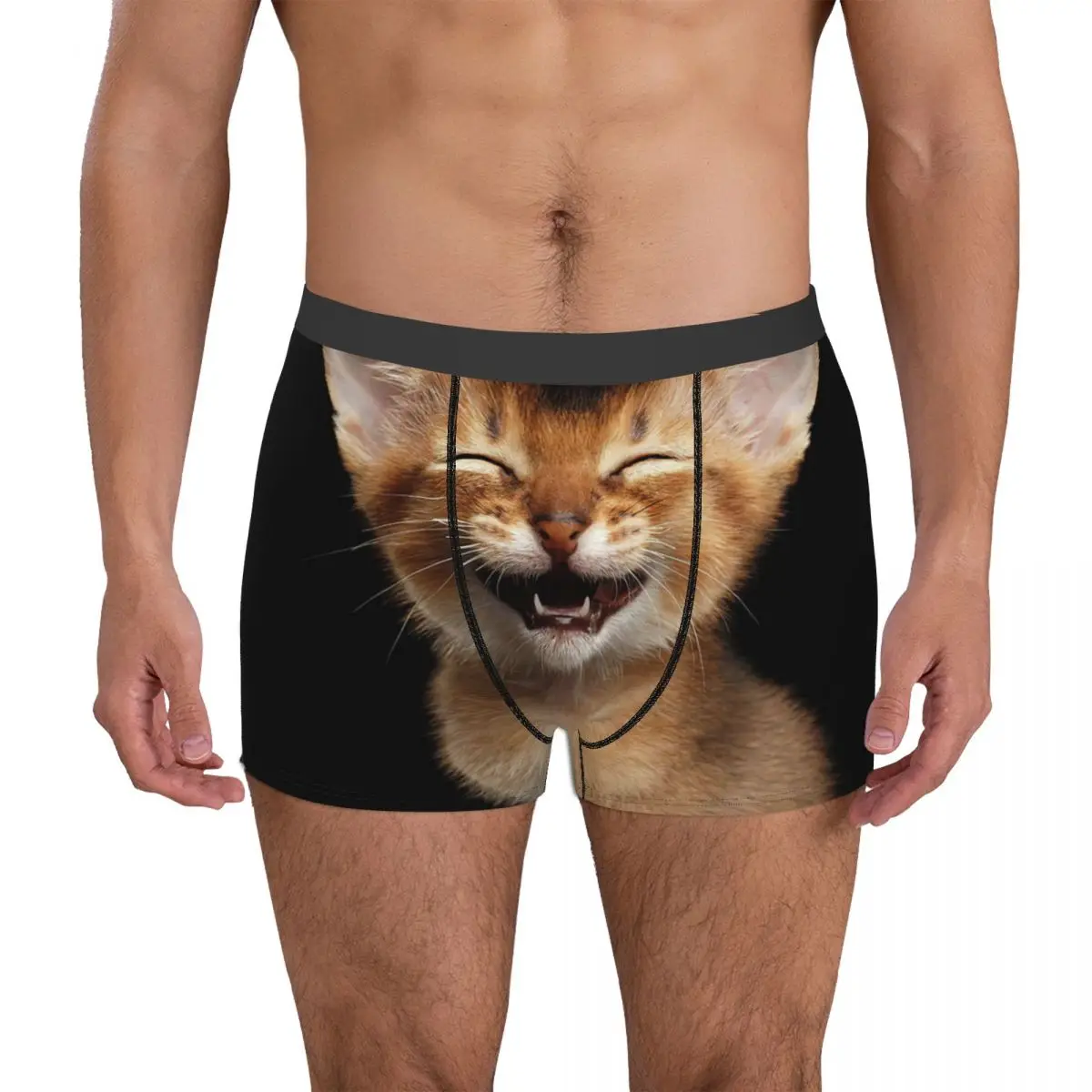 Laughing Kitten Men's Boxer Briefs Shorts Men Underpants Cartoon Anime Funny Men's Panties Soft Underwear For Men