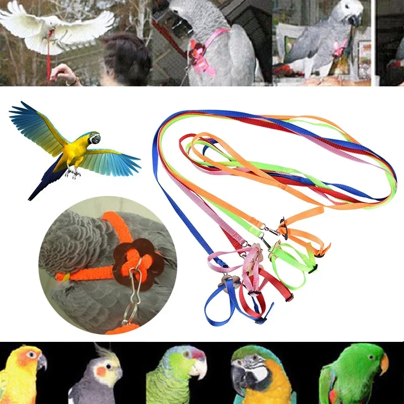 Adjustable Pet Parrot Traction Strap Anti-bite Training Rope Outdoor Rope Hamster Turtle Lizard Pet Leash Bird Collar Harness