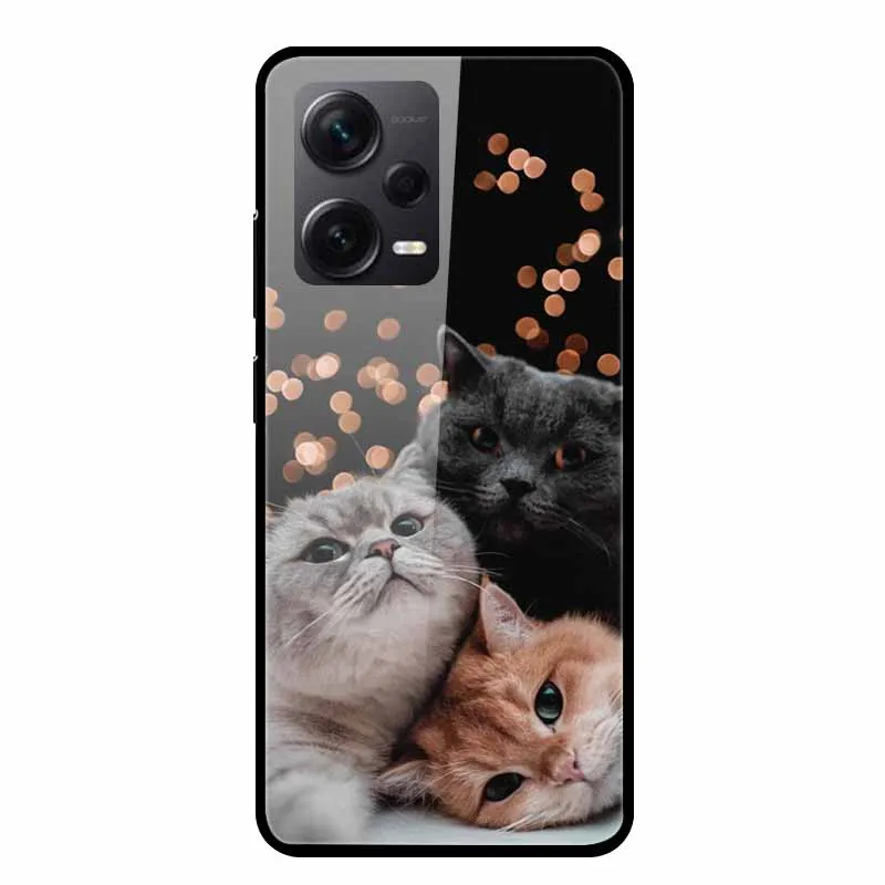 Tempered Glass Cases For Redmi Note 12 Pro Plus 5G Covers Note12 Hard Back Covers for Xiaomi Redmi Note 12 Pro Capas Protective view 4