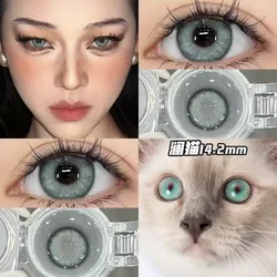OVOLOOK-1 Pair Blue Contact Lenses Colored Eyeglass Lenses Pupils Myopia Eye Color Lenses 10 Tone Grey Brown Green Lens for Eyes
