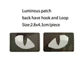 Luminous 37