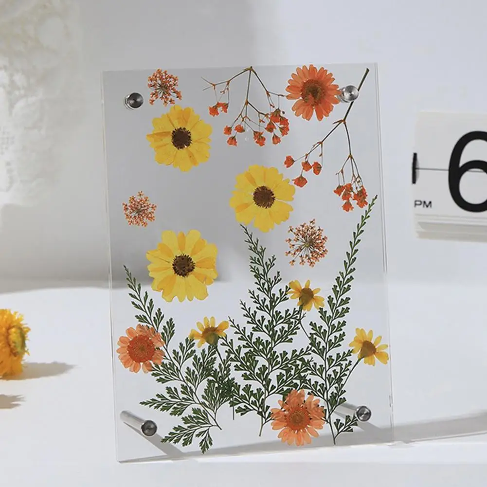 

Acrylic Photo Frame Clear Picture Frames Tabletop or Wall Mount Display Frame for Home And Office DIY Dried Flower Crafts