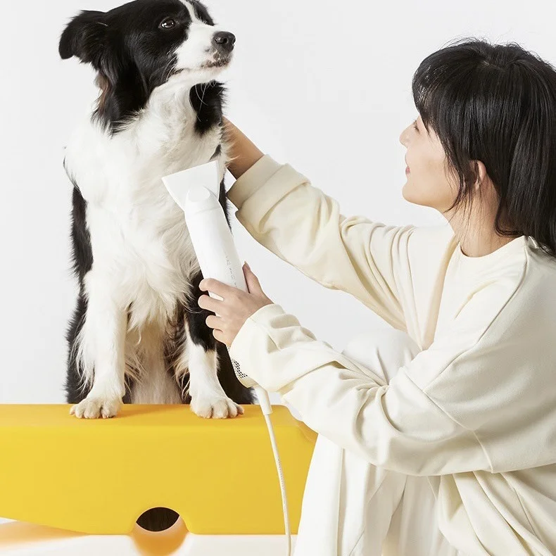 

Eco-Friendly Plastic Dog Hair Dryer High-Speed Water Blower For Pet Cleaning & Bathing For Cat Drying