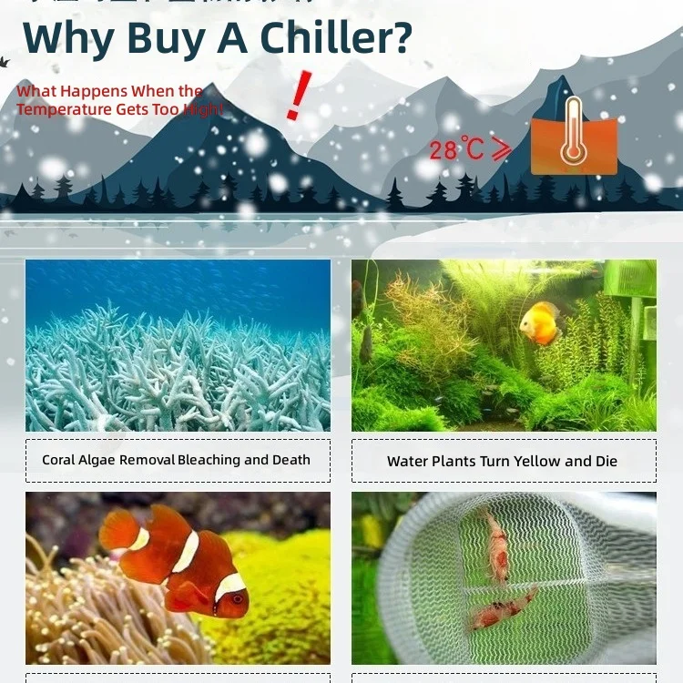 Chiller Mini Aquarium Cooler, 100W Automatic Temperature Control, Home Fish Tank Refrigeration, Compact Water Cooling System