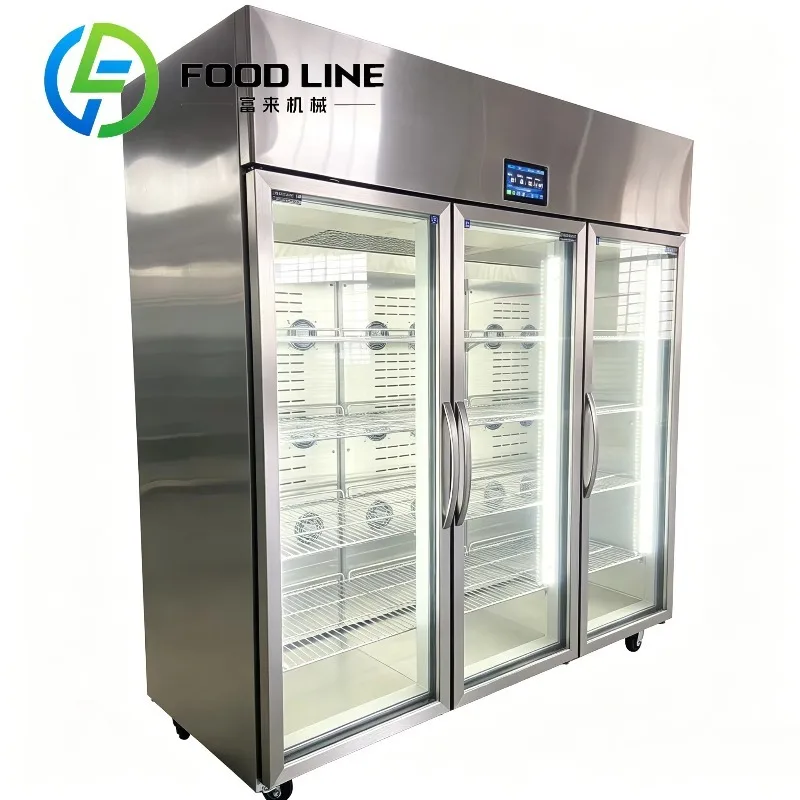 Energy Saving Silent Thawing Cabinet Stainless Steel Commercial Defrost Machine for Hotel Catering Industry Defrosting Equipment