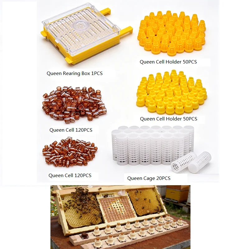 

Germany Jenter Nicot Bee Queen Rearing System Karl Jenter Kit Queen Bee Larva Move Cage Queen Bee Breeding Beekeeping Tools