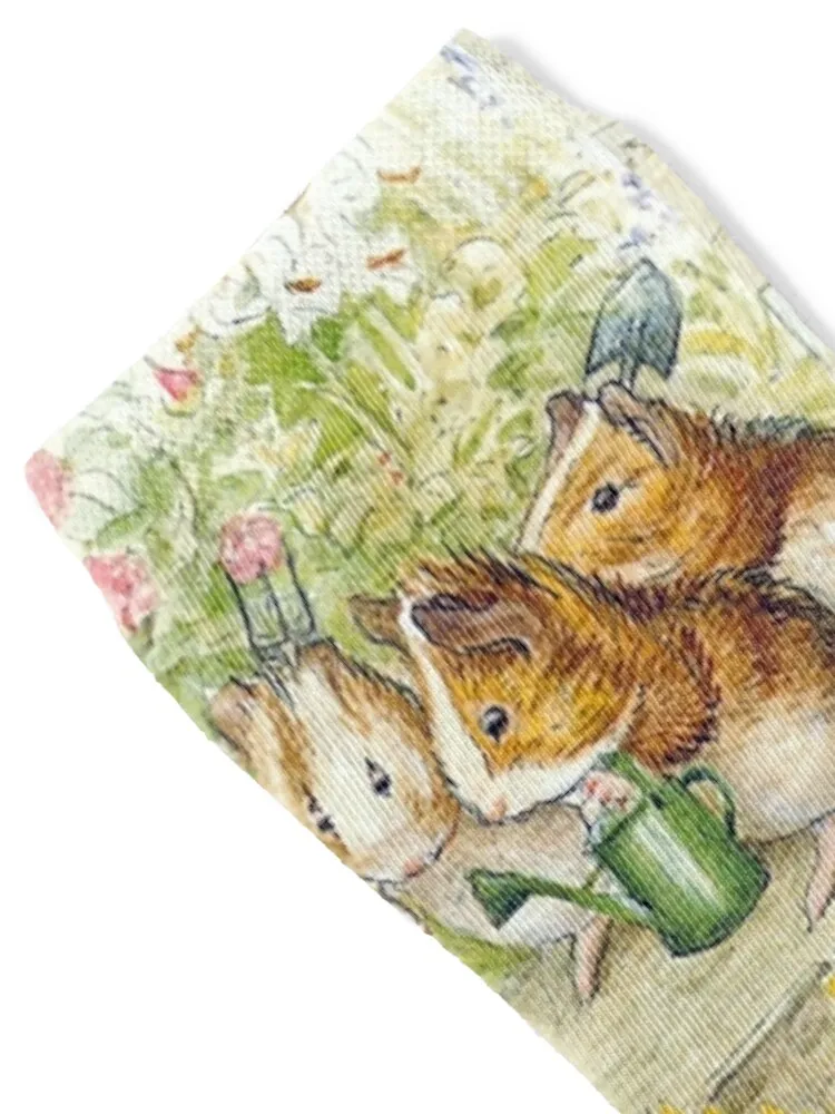 Guinea Pig Gardeners - Beatrix Potter Socks christmass gift moving stockings Socks For Girls Men's