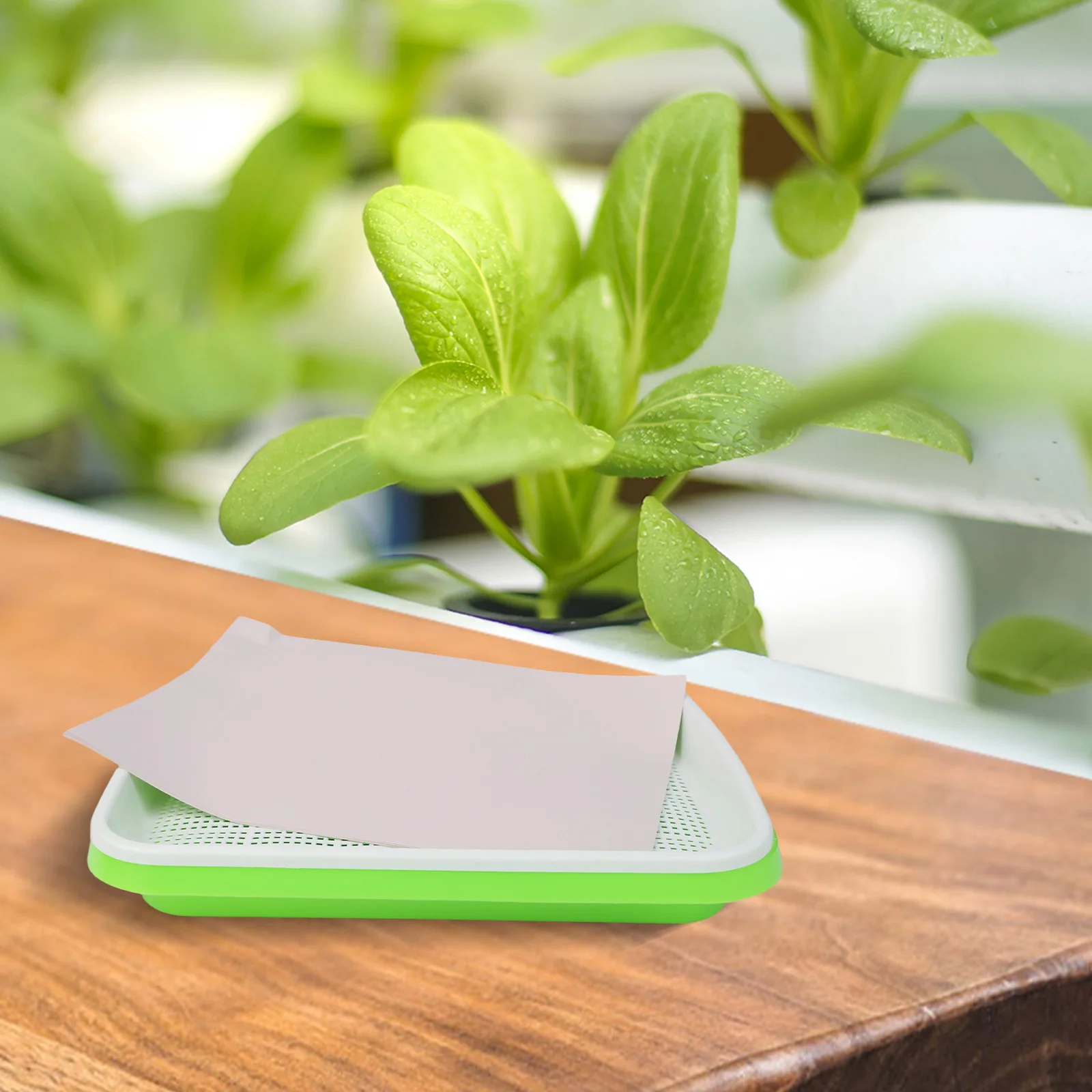 Sprouter and Microgreens Growing Tray with 2 Layers Includes 10 Paper Germination Sheets Suitable for Indoor Gardening
