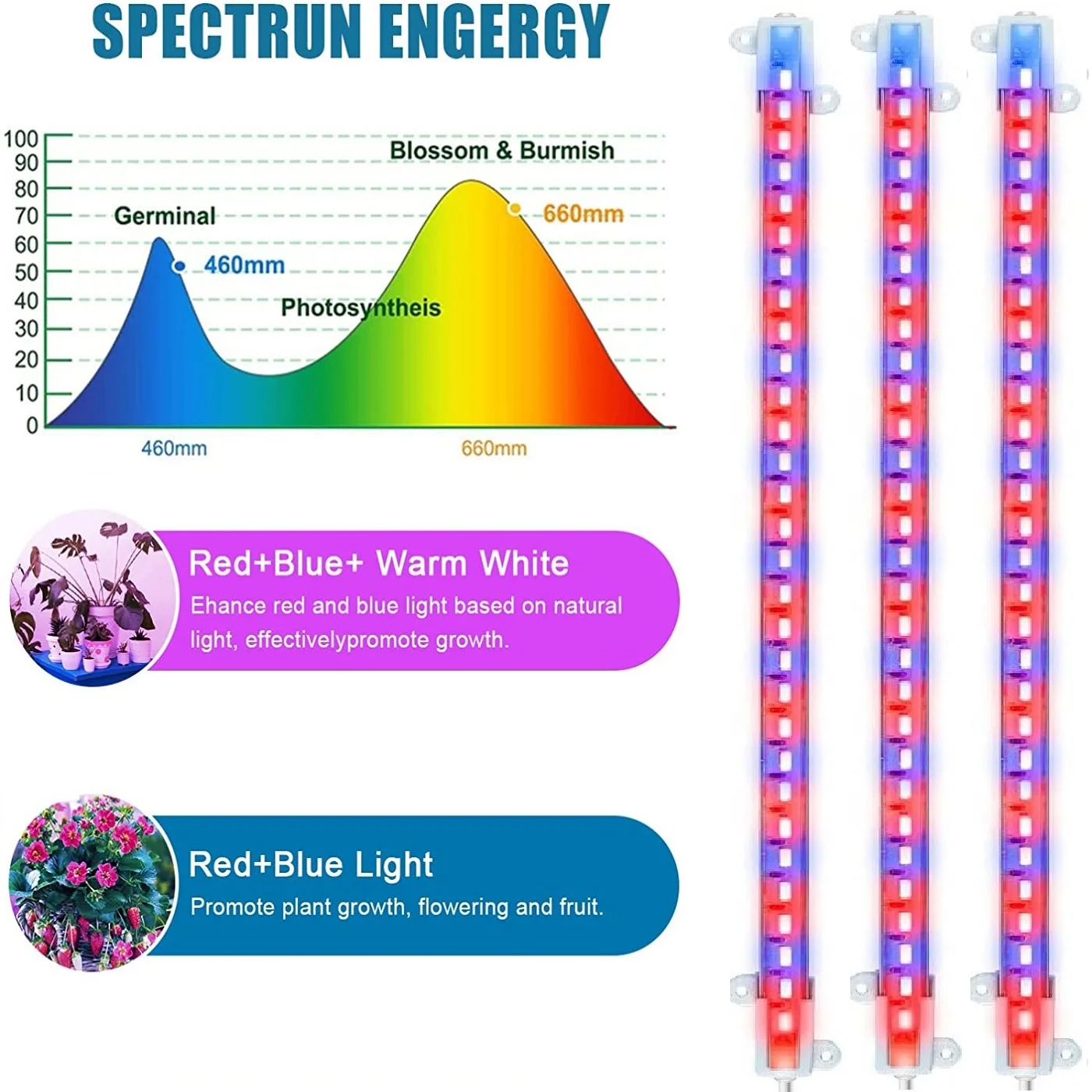 LED Grow Light Strip com Temporizador, Planta de Interior Regulável Phyto Lâmpada, Phytolamps, Vermelho e Azul, Plug USB, Mudas, 3, 9, 12H