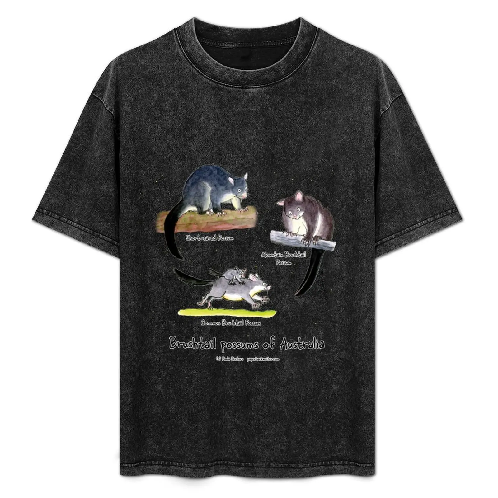 

Brushtail possums of Australia T-Shirt Functional Casual Short Sleeve Tee