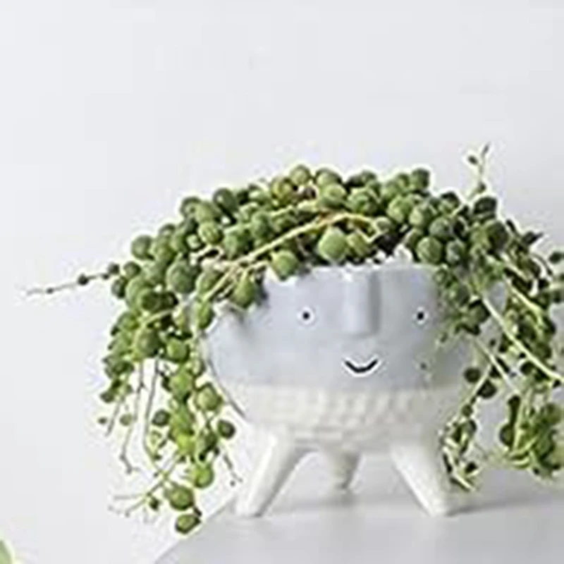 

Succulent Planter Pot Face Planters Perfect For Indoor Outdoor Plants Pack Of 2, Planters Pots For Succulent String