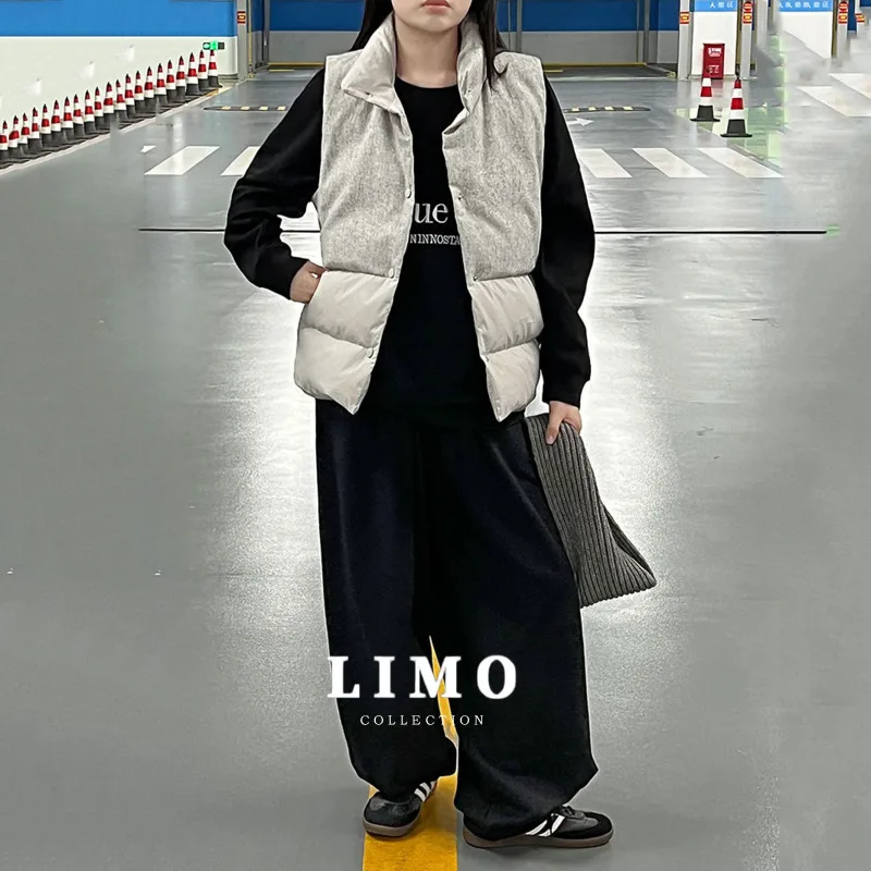 

LIMO 2025, осенне-зимний модный стеганый пуховый жилет без рукавов для женщин, контрастный цвет, шерстяной чехол