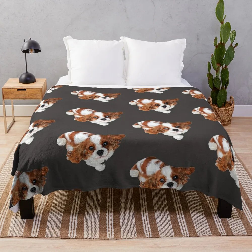 

Cavalier King Charles Spaniel Looking Up Throw Blanket Decorative Bed Blankets