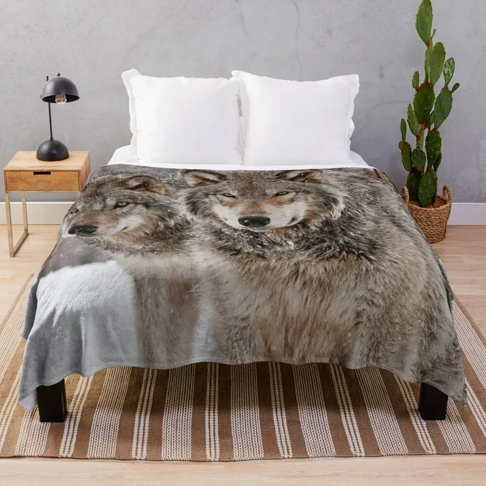 Timber Wolf Pair Throw Blanket Picnic Decorative Beds Blankets