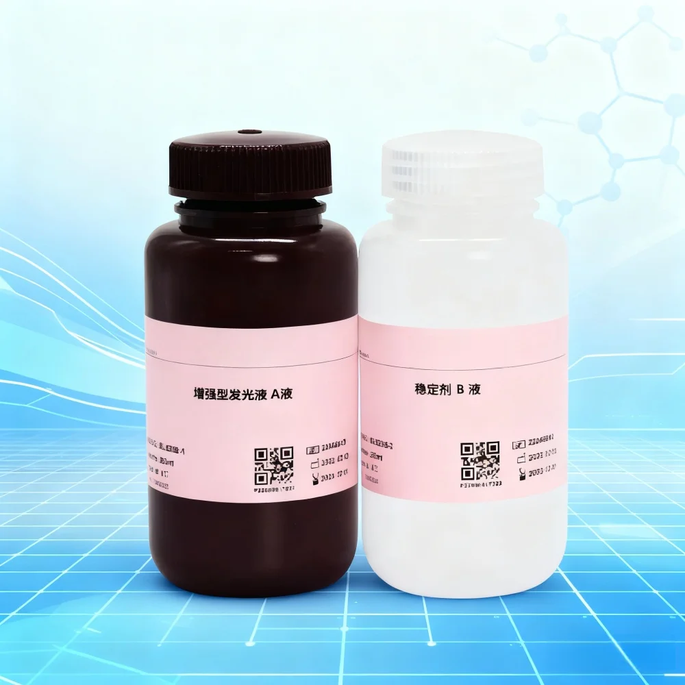 Ultra-sensitive Ecl Chemiluminescent Substrate For Enhanced Detection In Western Blot Protein Research Original Product