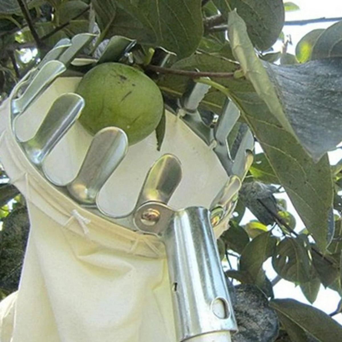Telescopic Fruit Picker tools High Altitude Pole for Various Heights Garden Fruit Picking Catcher Fresh Orange Picker Tools