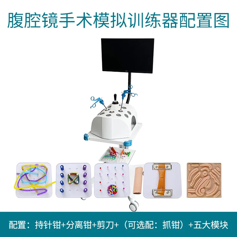 Factory Direct Sales Laparoscopic Surgery Trainer Custom Simulation Human Abdominal Tissue Surgery Training Instrument Wholesale