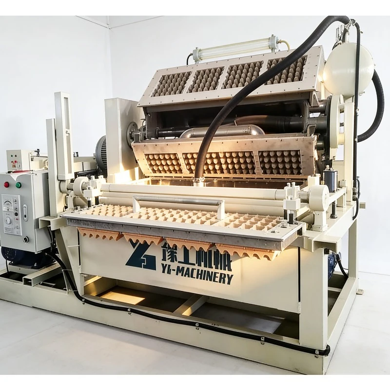 Full Automatic Pulp Molding Egg Tray Production Line Machine for Egg Fruit Cup Tray Food Packaging