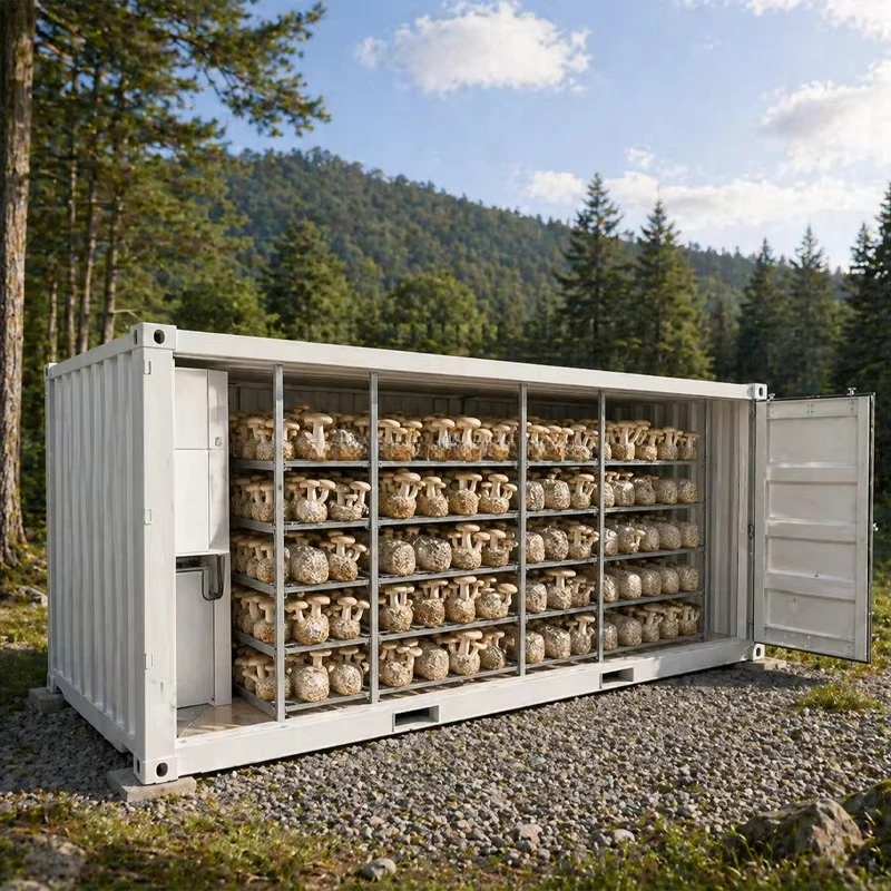 20ft Smart Mushroom Farming Container Climate Control Remote Monitoring Indoor Cultivation System Custom