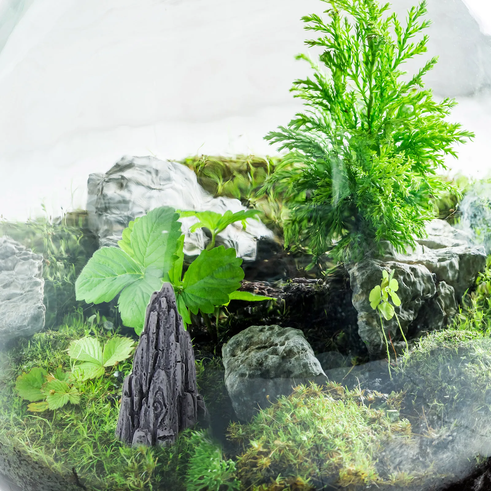 

6pcs Mini Simulation Rockery Statue Resin Fake Mountain For Bonsai Garden Aquarium Diy Decor Indoor Plant Arrangement Garden