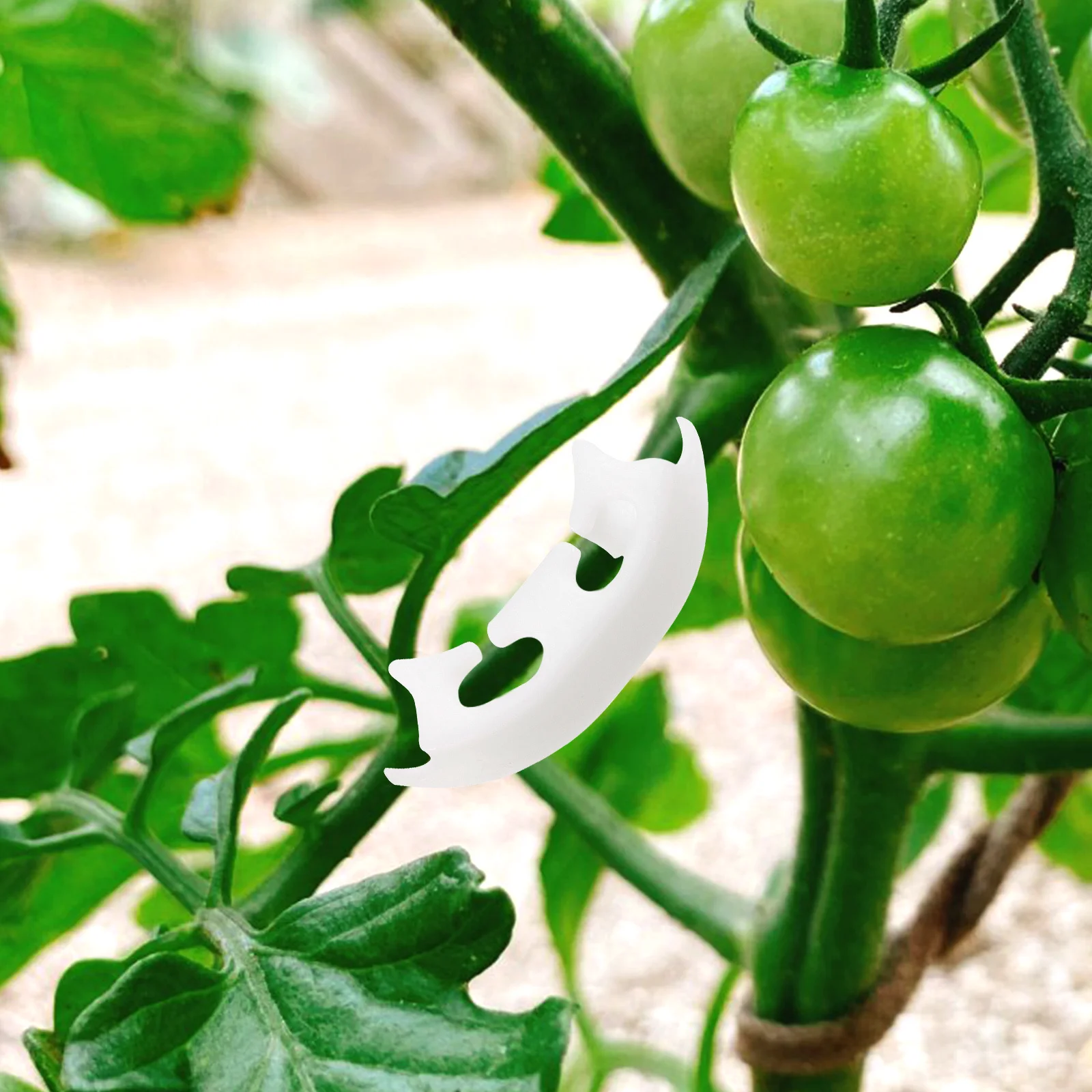 

100Pcs Tomato Plant Bender Plastic Plant Support Clips Easy Use Secure Branches Enhance Light Exposure Boost Growth