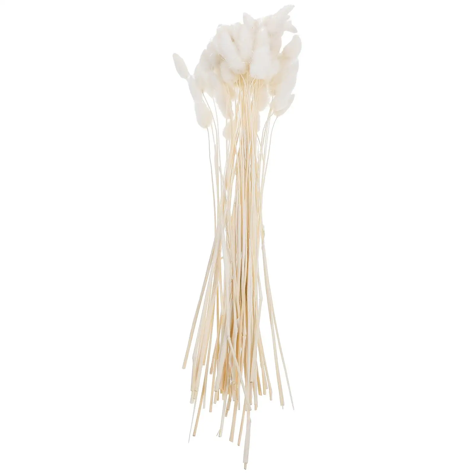 Bunch/60 Pcs Wedding Decoration Dried Grass Rabbit Tail Natural Plants Dried Flowers for Photography Flower Arrangement