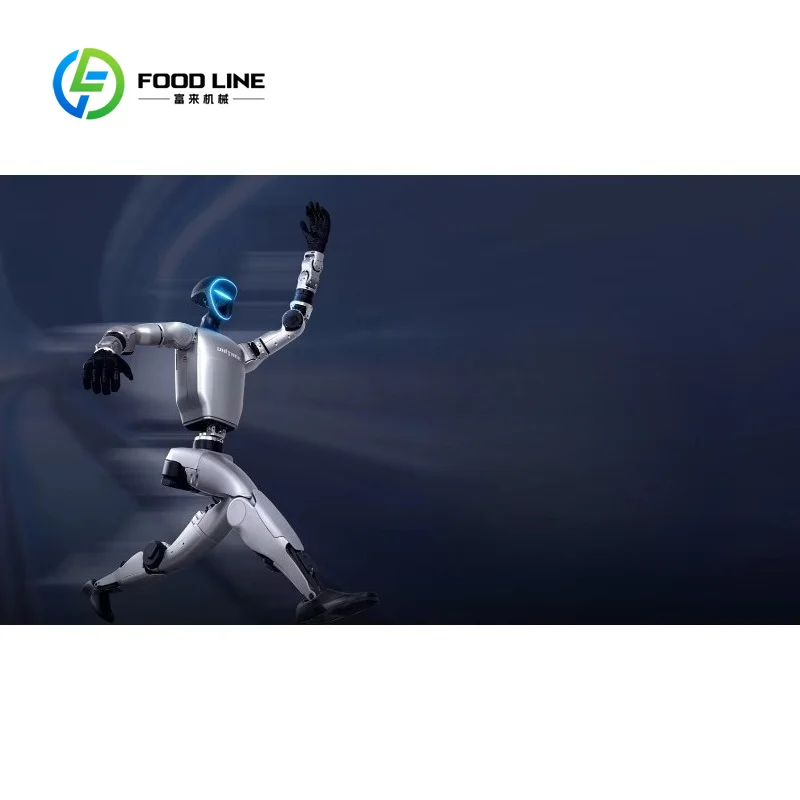 Customized Multi-Functional Humanoid Robot with Stable Locomotion for Sports Simulation and Combat Training