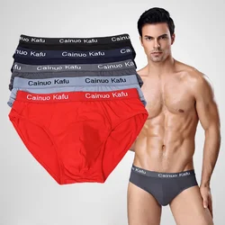 Men's Briefs Youth Fashion Sexy Trendy Student Panties Men's Mid-waist Ice Silk Bottoms Stretch Underwear High Quality Underwear