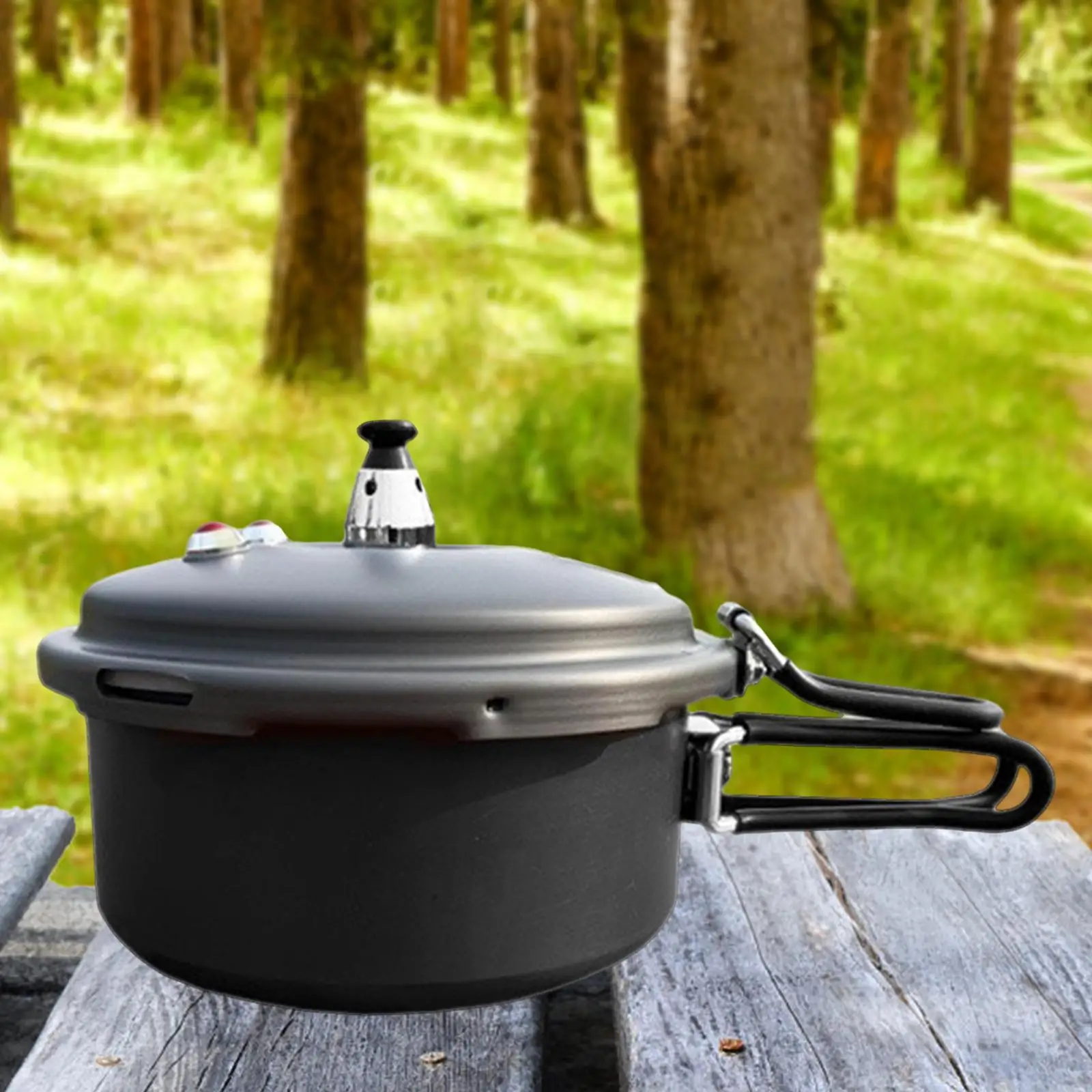 

Camping Pressure Cooker Cookware Pressure Canner for Camping Kitchen Outdoor