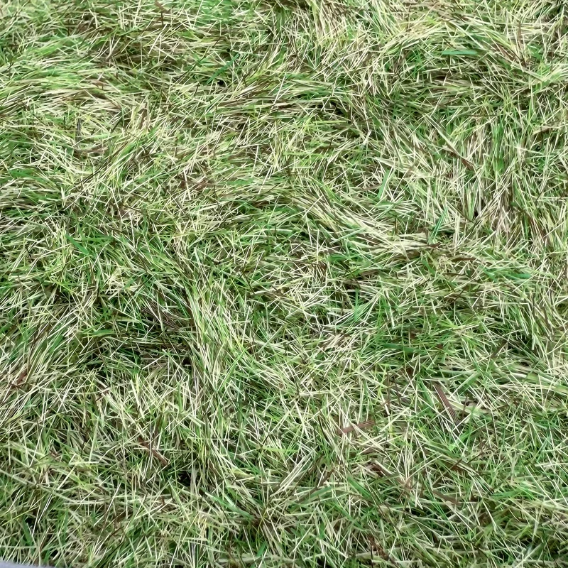 500G Simulation Static Grass Powder Model Nylon fake Grass Velvet Grassland making Material Micro Landscape Train Railway Layout