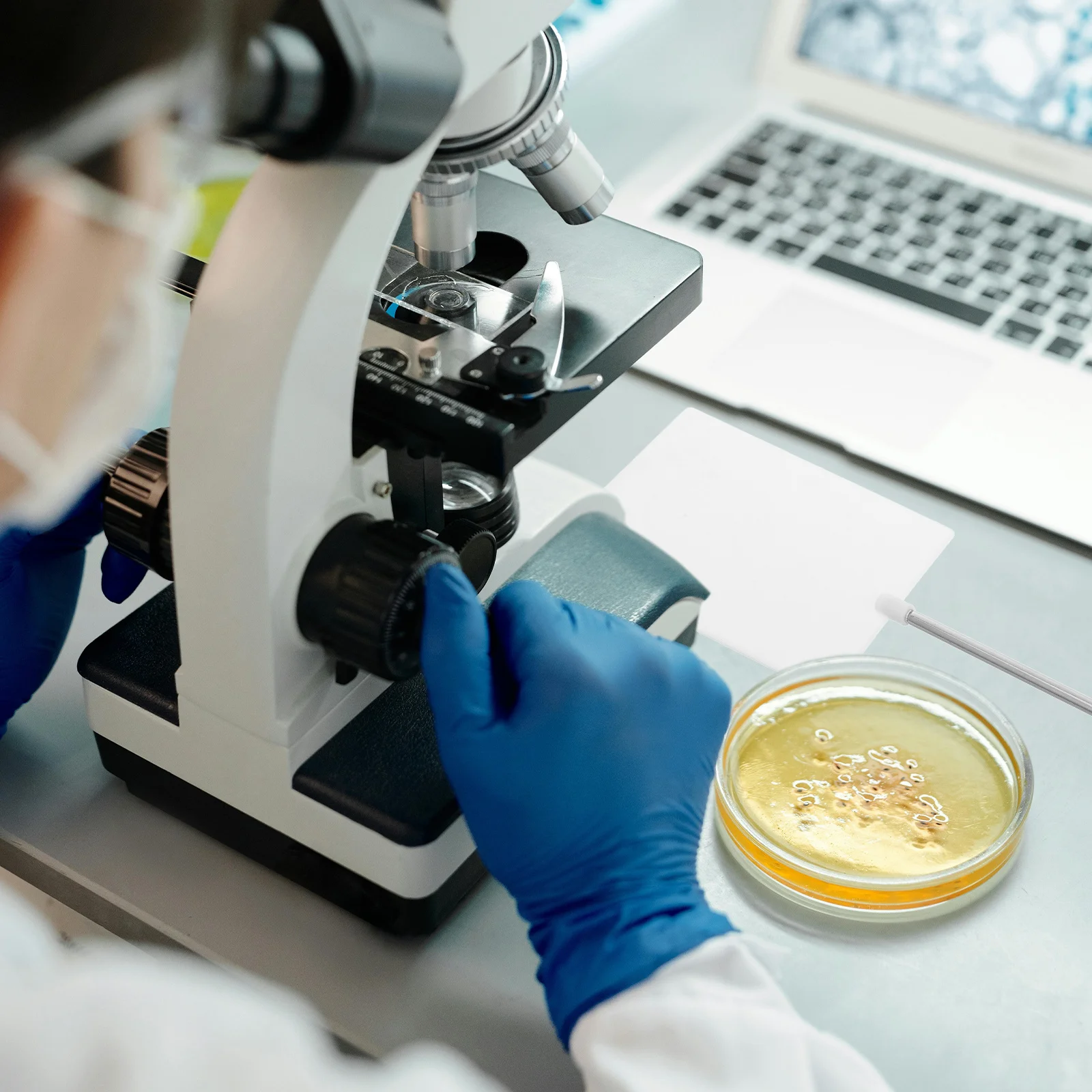 

Compact Lightweight White Light Screen Easy Carry Transport Optic Experiment Lens Equipment for Physics Experiments