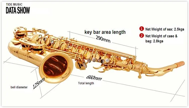 High Grade Straight Gold lacquer hand crafted Alto Saxophone