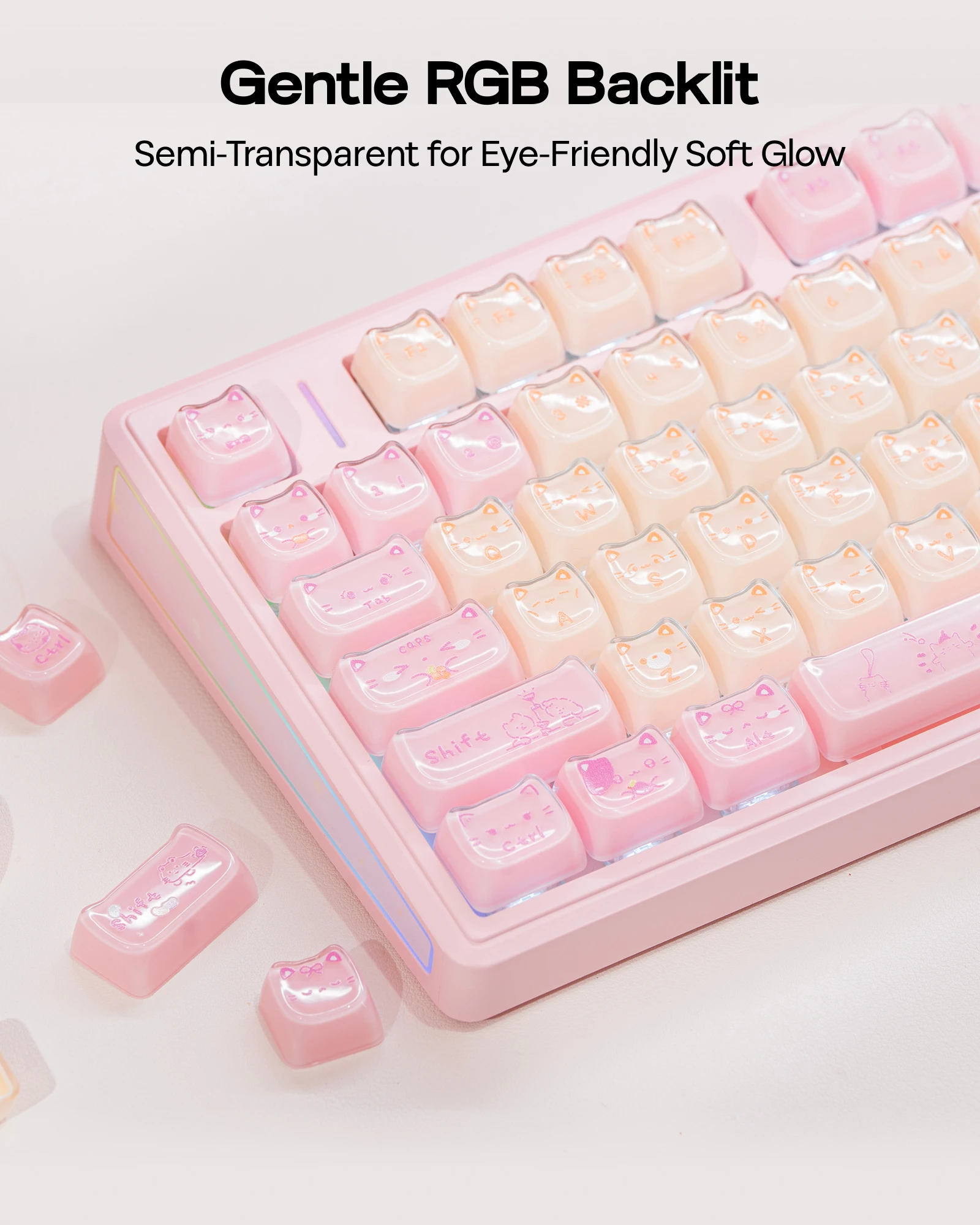Set di Tasti EPOMAKER JellyPaw - Gaming Keyboard Mechanical Wireless recensione e prezzo