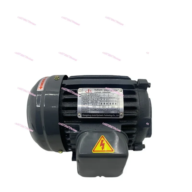 

Hydraulic special motor AEEH-80-4 90L 100L 112M 132S-4 oil pump motor