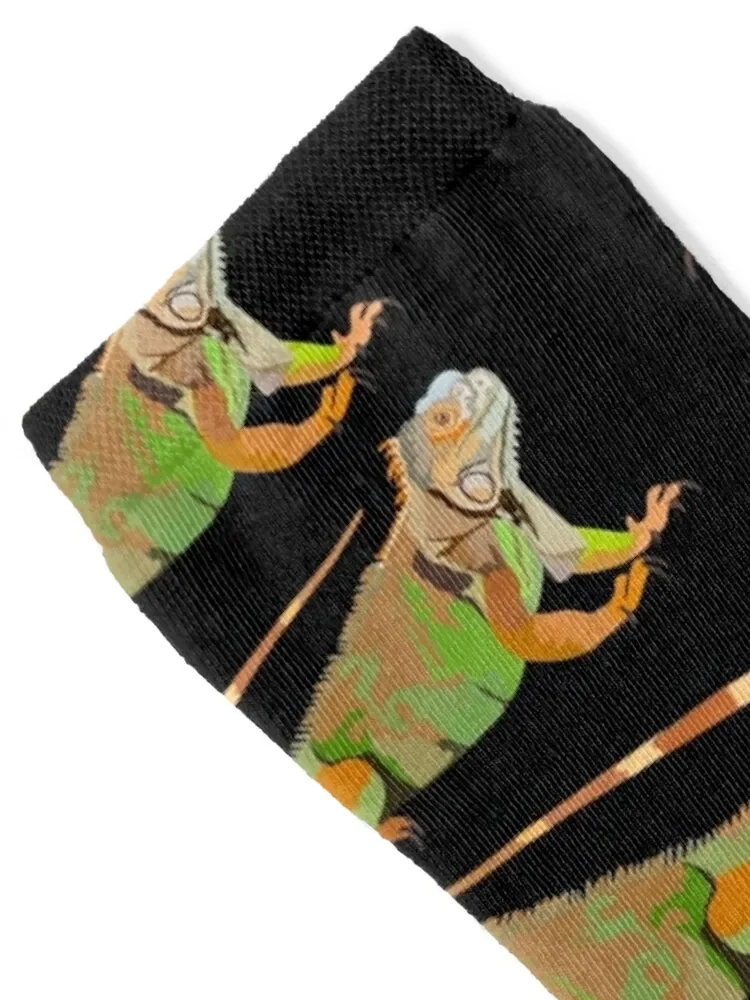 G is for Green Iguana Socks Novelties aesthetic moving stockings new year Girl'S Socks Men's