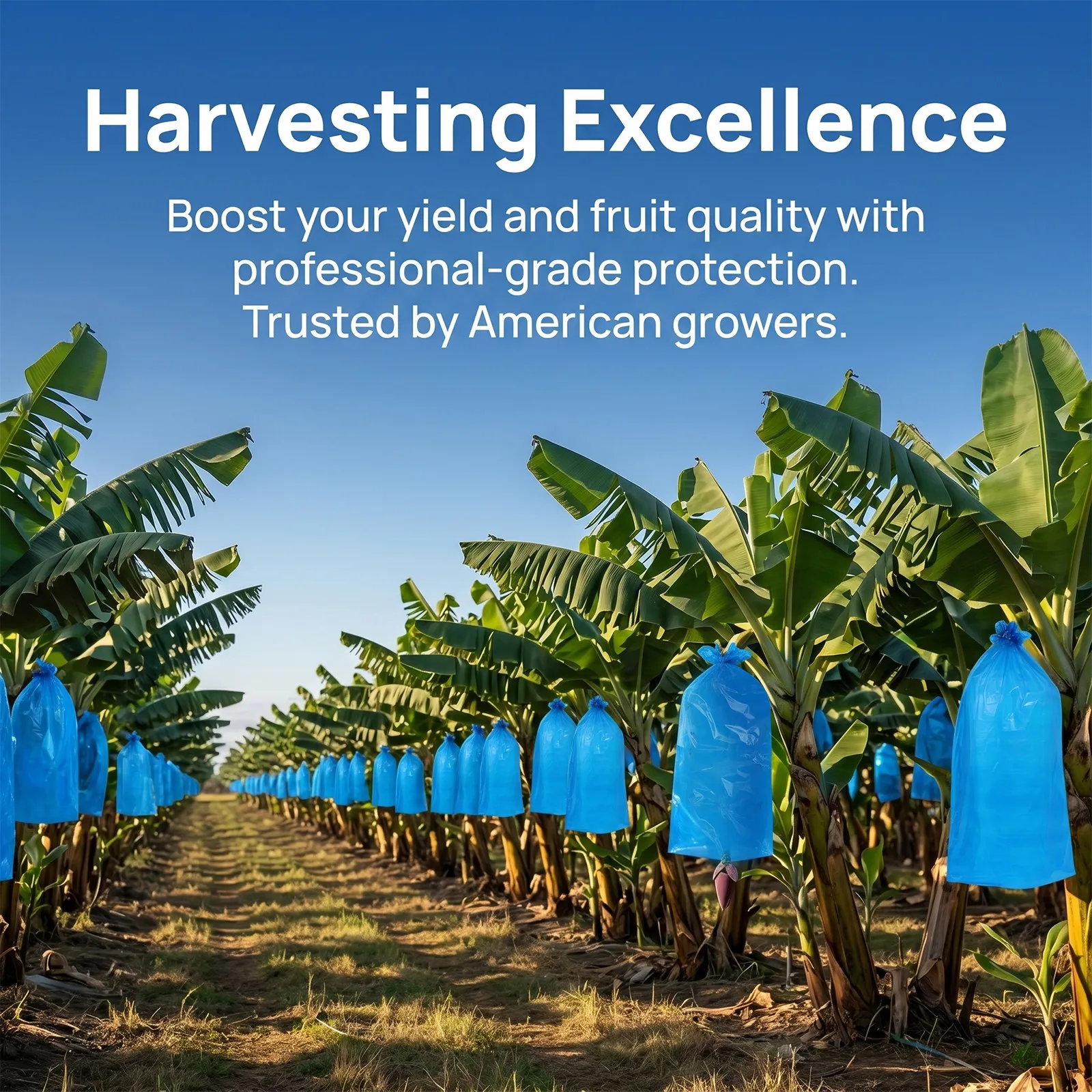 5 sacchetti per la maturazione - Grow Bags recensione e prezzo