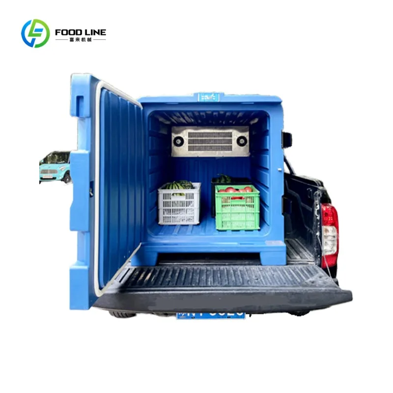 Customized Fall Resistant Hot Selling Portable Refrigeration Unit Battery Drive Mobile Cold Box Van New Condition Container