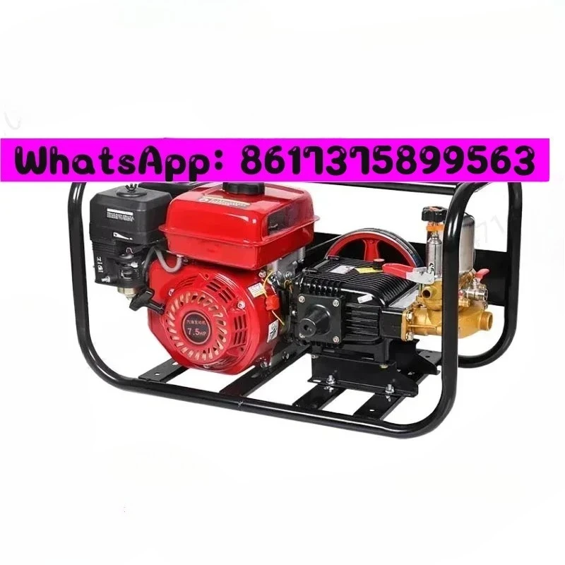 Four-stroke oline High Pressure Sprayer Agrltural Orchard Sprayer Triple Cylinder Plunger Pump Sprayer