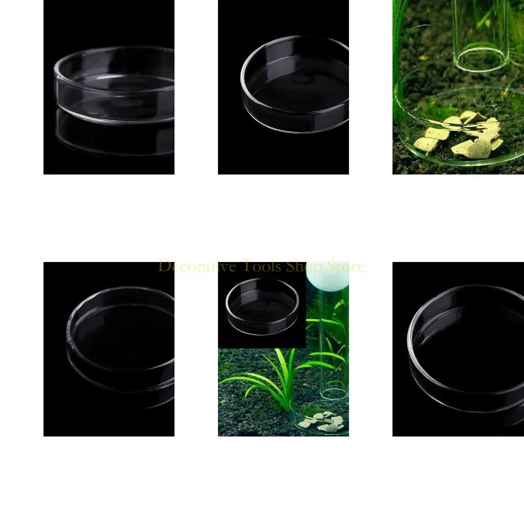 Qx2e camarão alimentador acrílico répteis répteis redondos bandeja alimentos tigela 2.4 "diâmetro