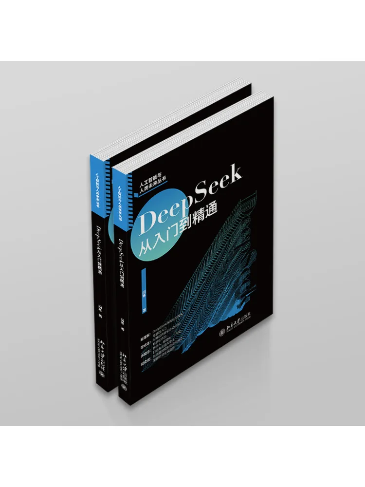 Obrázek 4: Book-winshare deepseek z začátečník na znalec