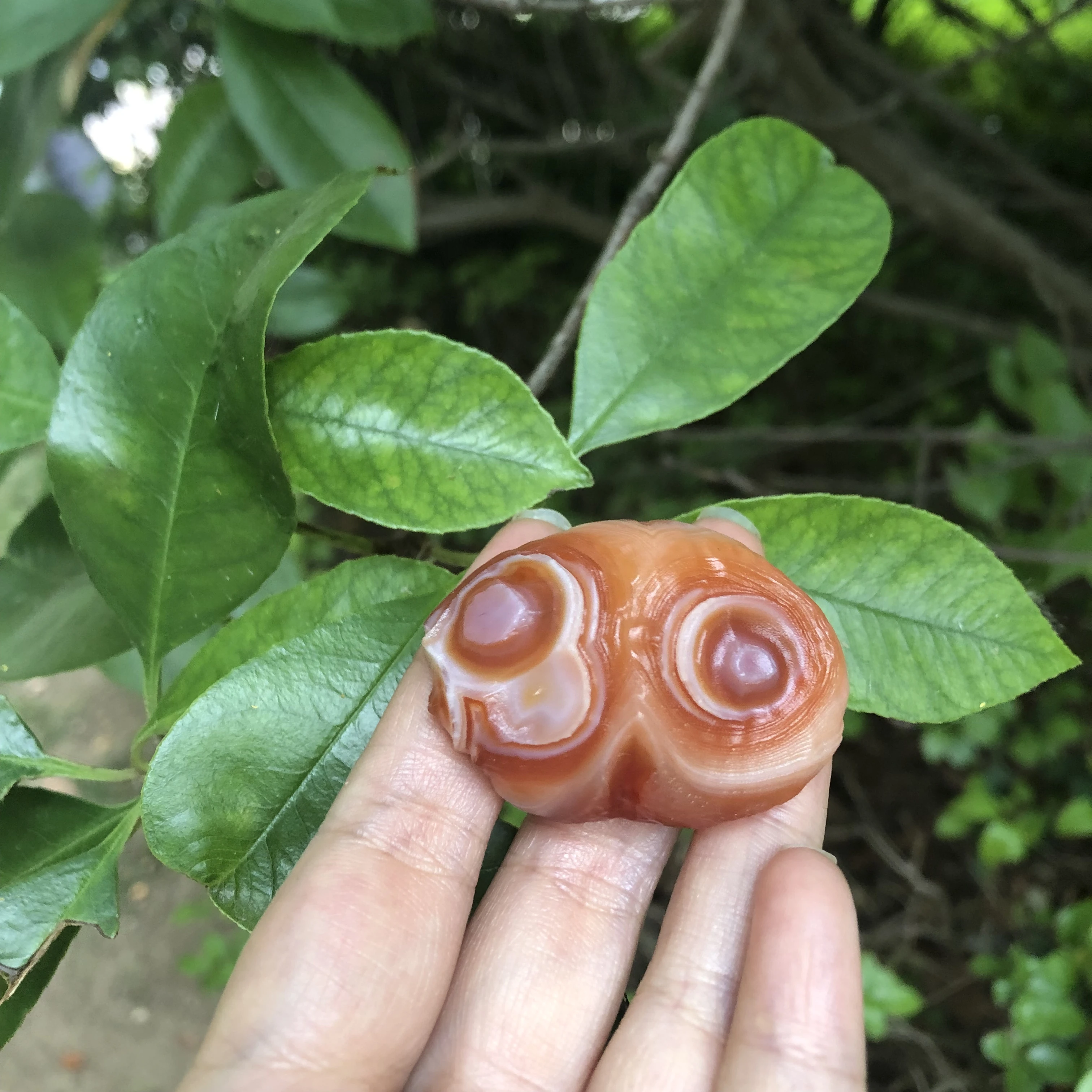 37G/4.4*3.24*1.94CM A Fine Natural Outer Mongolian Gobi Eye With An Orange Gemstone Eye Texture Is Clearly Visible