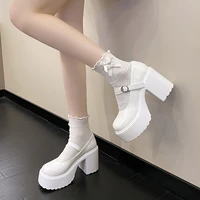 Chunky Platform High Heels Pumps Women 2023 Autumn Pu Leather Ankle Buckle Mary Jane Shoes Woman Thick Heeled White Lolita Shoes - Image 3