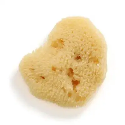 مجموعة إسفنجة رسم فنية بأشكال عشوائية إسفنجة ألوان مائية للرسم الإبداعي والمرح في المدرسة المنزلية أو منطقة اللعب