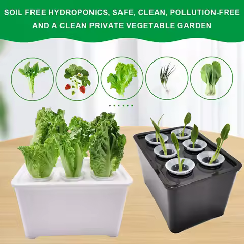 Plant Seed Seedling Pot Hydroponic Plant Specific Flowerpot Practical Grid Vegetable Planting Box Sunshine Hydroponic Apparatus